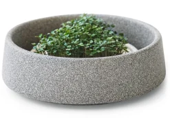 Anzuchtschale für Microgreens