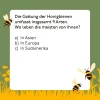 Bienen-Quiz
