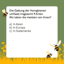 Bienen-Quiz