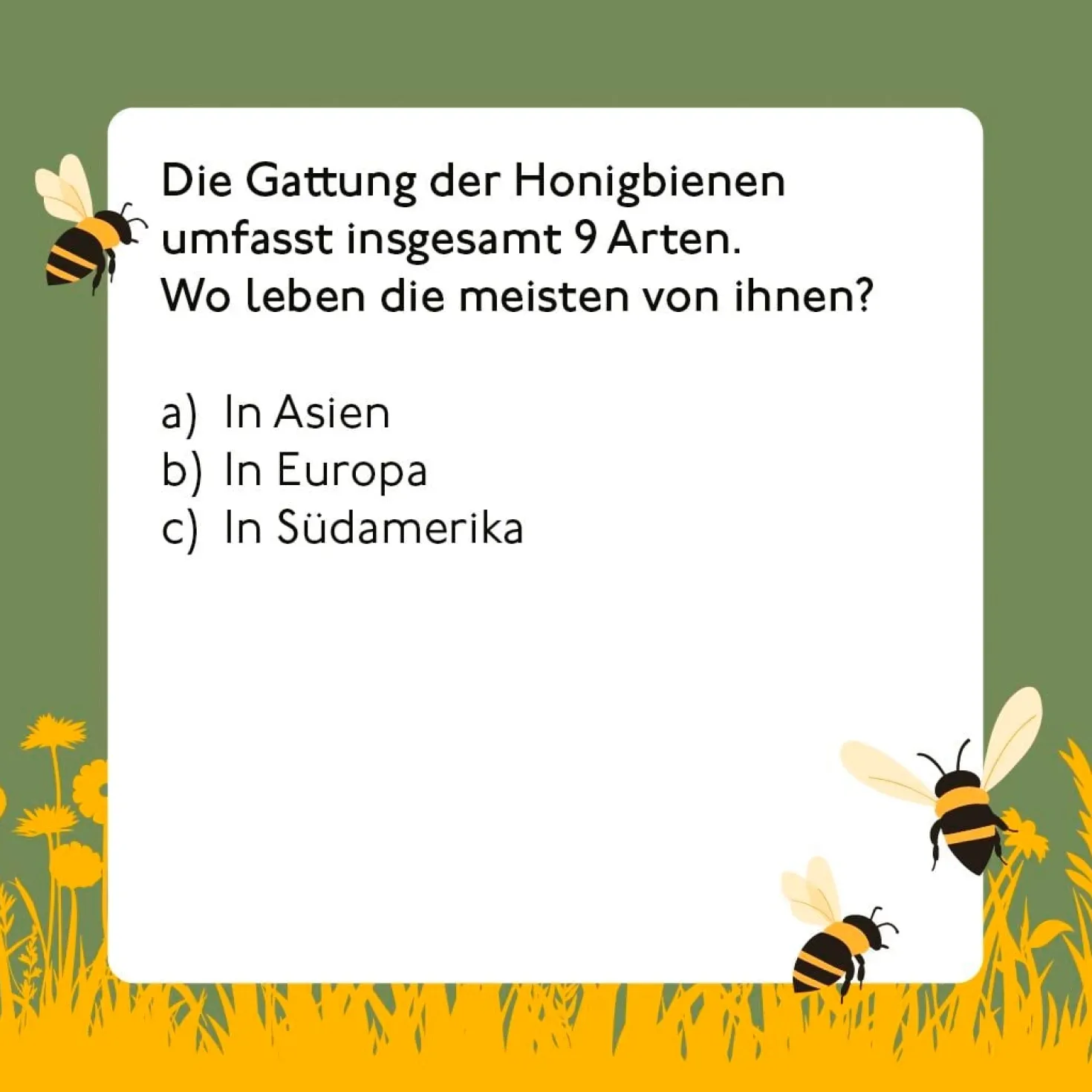 Bienen-Quiz