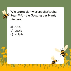 Bienen-Quiz