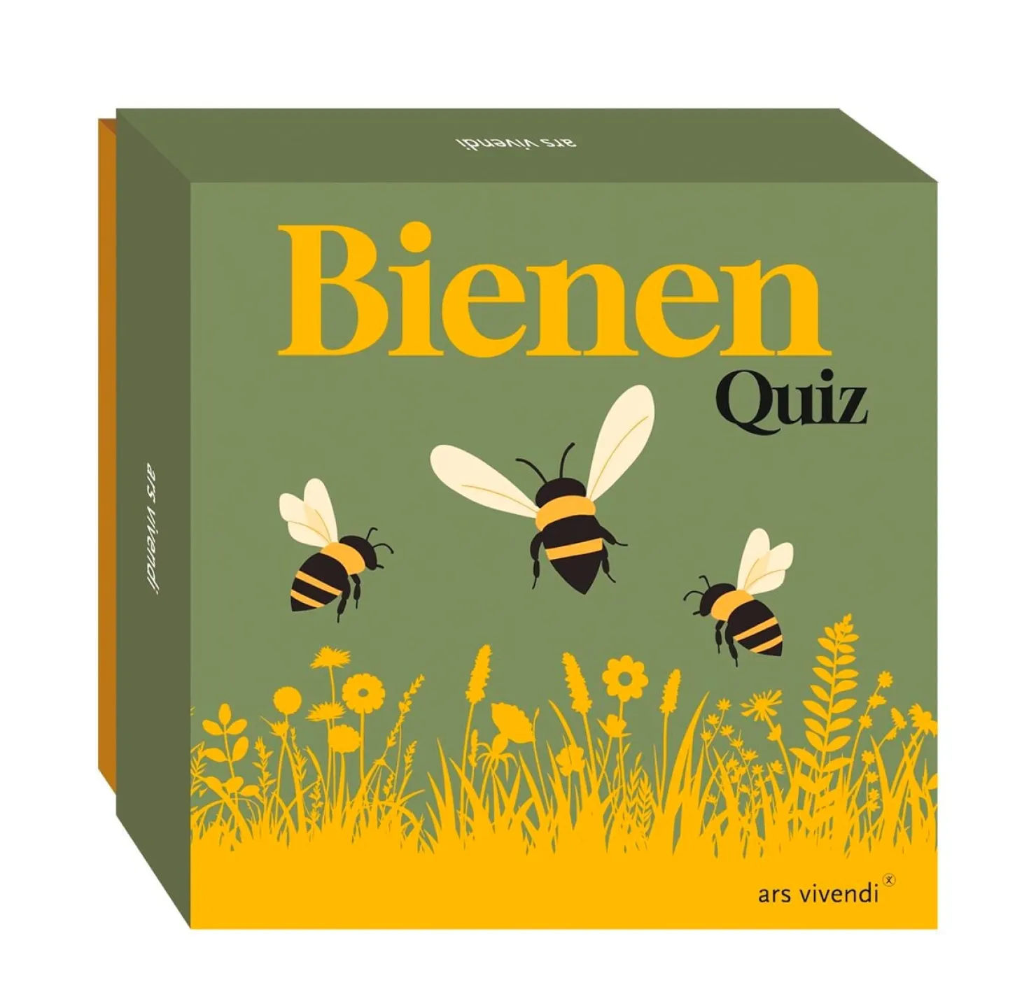 Bienen-Quiz