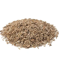 Cumin