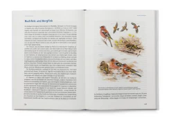 Das große Buch der Gartenvögel