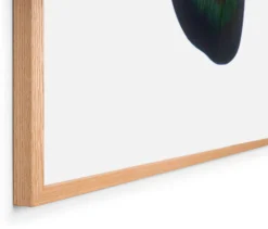 Druck Ronan Bouroullec
