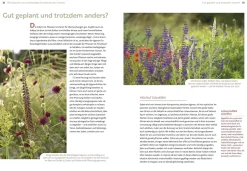 Echte Hitzeprofis