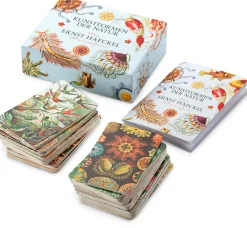Gedächtnisspiel Kunstformen der Natur