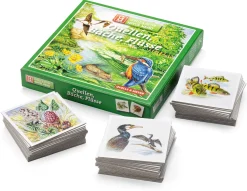 Gedächtnisspiel Natur