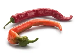 Gemüsesamen Besondere Chilis und Paprika