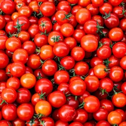 Gemüsesamen Wildtomaten