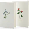 Grußkarten Blumen