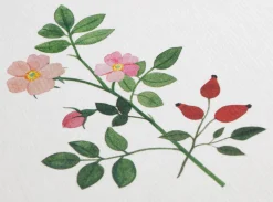 Grußkarten Blumen