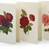 Grußkarte Rosen