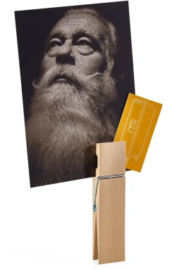 Holzklammer groß