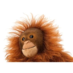 Kösener Orang-Utan