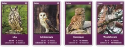 Naturquartett Heimische Vögel