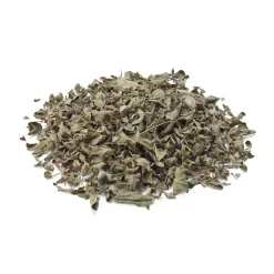 Oregano