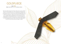 Origami: Bee, Bug und Butterfly
