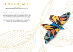 Origami: Bee, Bug und Butterfly