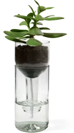 Pflanzgefäß Self Watering Bottle