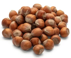 Piemontesische Haselnüsse in Schale