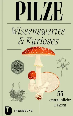 Pilze