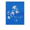 Postkarten-Set Riso