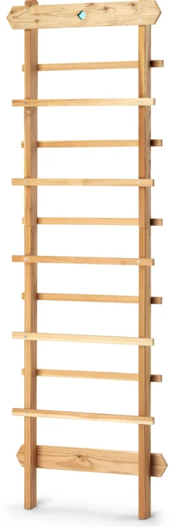 Rankobjekt Leiter