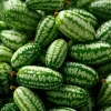 Saatgut Gemüse und Blumen für Kinder