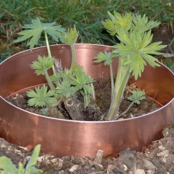 Schneckenring Kupfer