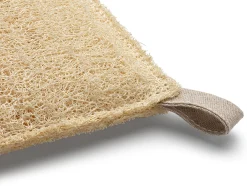 Schwamm Luffa