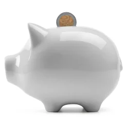 Sparschwein konservativ