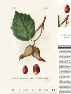 Thorbeckes heimisches Obst Kalender 2027