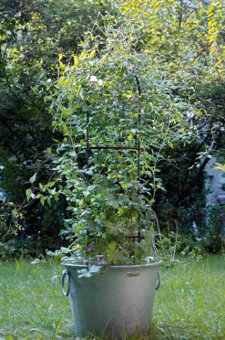 Topfobelisk Stahl