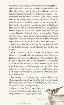 Vögel verstehen