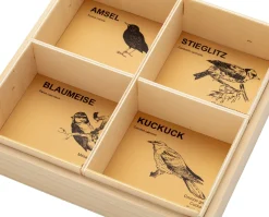 4 Vogelstimmen