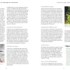 Wilde Ecken für jeden Garten