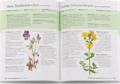 Wildpflanzen neu entdecken