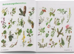 Wildpflanzen neu entdecken